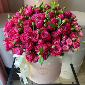 25 веток пионовидной малиновой кустовой розы в коробке